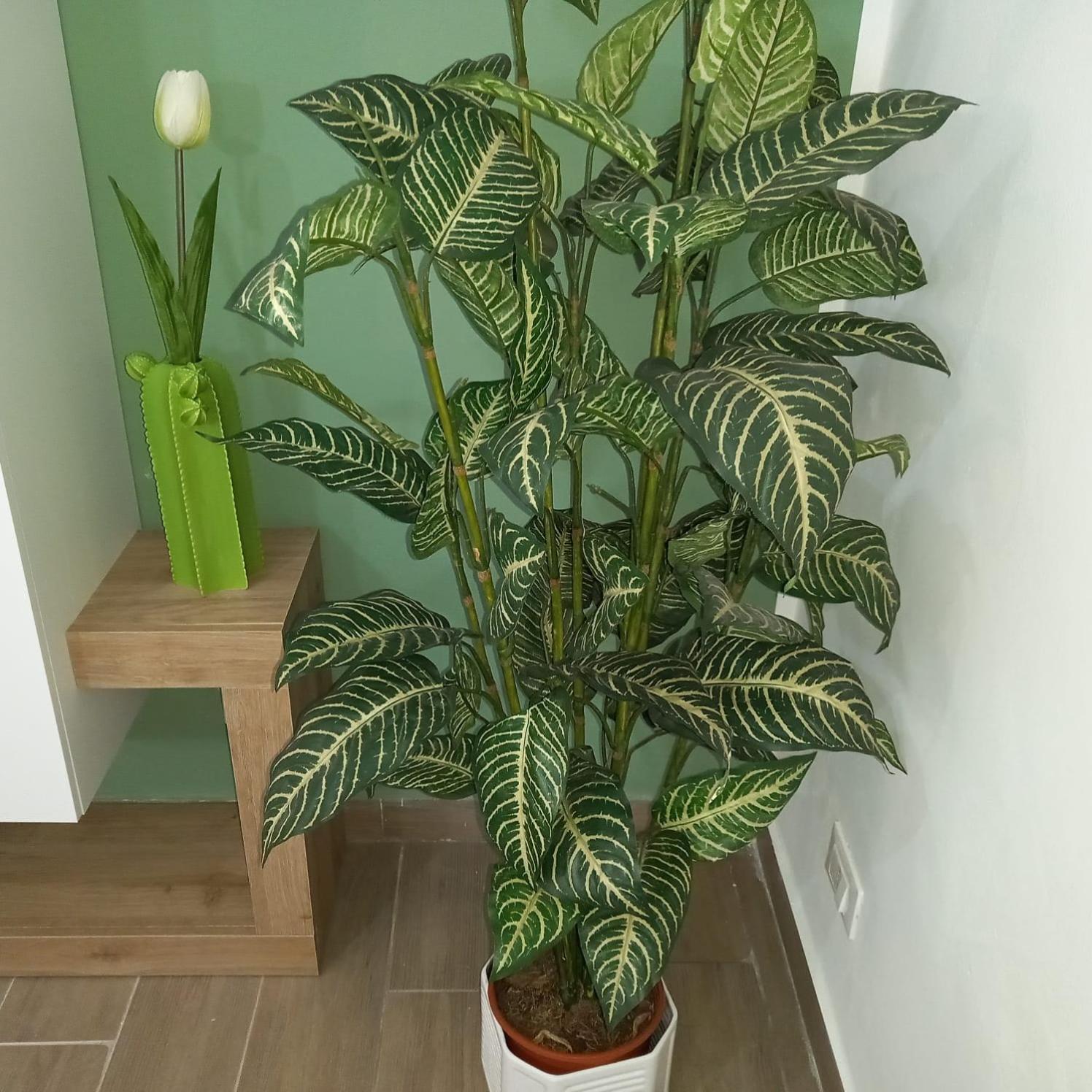 Apartamento A Casa Di Lori